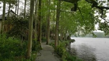 Batı Gölü kıyılarında muhafaza edilen tarihi ve doğal güzellik, Hangzhou Zhejiang Çin 'i cesaretlendirir. Yüksek kalite 4k görüntü