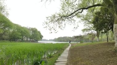 Batı Gölü kıyılarında muhafaza edilen tarihi ve doğal güzellik, Hangzhou Zhejiang Çin 'i cesaretlendirir. Yüksek kalite 4k görüntü