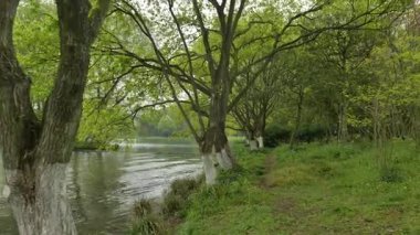 Batı Gölü kıyılarında muhafaza edilen tarihi ve doğal güzellik, Hangzhou Zhejiang Çin 'i cesaretlendirir. Yüksek kalite 4k görüntü