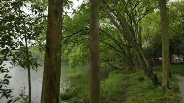 Batı Gölü kıyılarında muhafaza edilen tarihi ve doğal güzellik, Hangzhou Zhejiang Çin 'i cesaretlendirir. Yüksek kalite 4k görüntü