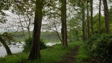 Batı Gölü kıyılarında muhafaza edilen tarihi ve doğal güzellik, Hangzhou Zhejiang Çin 'i cesaretlendirir. Yüksek kalite 4k görüntü