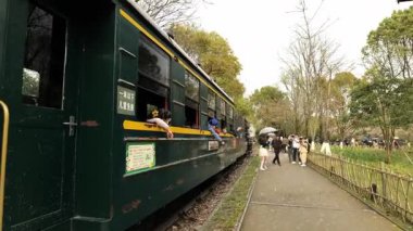 Bahar, kiraz çiçekleri ve trenler. Hangzhou Çin 'in güzel manzarası. Yüksek kalite 4k görüntü