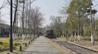 Bahar, kiraz çiçekleri ve trenler. Hangzhou Çin 'in güzel manzarası. Yüksek kalite 4k görüntü