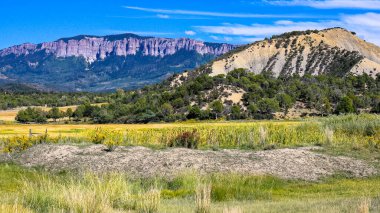Bu canlı manzara, arka planda çarpıcı mor tonlu bir uçurum tarafından çerçevelenmiş Colorado kırsalında engebeli bir yamaç ve parlak sarı bir arazi yakalar. Mavi gökyüzü bu cesur doğal sahneye berraklık ve dram katıyor..