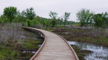 Sessiz ve bulutlu bir günde, yumuşak kıvrımlı tahta kaldırım yemyeşil bir sulak arazide esiyor. Çevreleyen bataklık çimenler, ağaçlar ve durgun suyla zengindir. Korunmuş doğal yaşam alanının sakinliğini yakalar.
