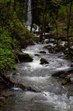Güçlü bir dağ deresi Arkansas 'ın gizli şelalesinin altındaki yosunlu kayalıklarda bir bahar ormanının yemyeşil sularıyla çalkalanır. Çağlayanın enerjisini vurgulamak ve vahşi arazide akış sağlamak için dikey biçimde yakalanır..