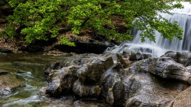 Kuzeybatı Arkansas 'taki Tanyard Creek' te canlı yeşil yapraklarla çevrili pürüzsüz ve yıpranmış kayaların üzerinde huzurlu bir şelale dalgalanır. Suyun yumuşak akışı ve doğal dokular dingin ve canlandırıcı bir atmosfer yaratır..