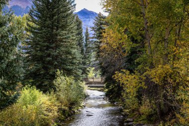 Telluride, Colorado 'da bir sonbahar manzarası, canlı sonbahar yaprakları arasında kıvrılan berrak bir dağ deresi. Görüntü, dereyi geçen bir yaya köprüsü ve görkemli bir şekilde yükselen bir tepe ile altın ağaçlar ve Evergreens tarafından çerçevelenmiştir..