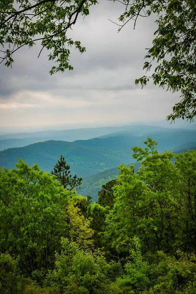 Arkansas manzaralı bir geçitten geniş bir manzara, bahar ağaçlarının taze yapraklarıyla çerçevelenmiş, sislerin içinde kaybolan mavi-yeşil tepeleri gözler önüne seriyor. Ozarks 'ın huzurlu ruhunu yansıtan sakin bir dağ manzarası..