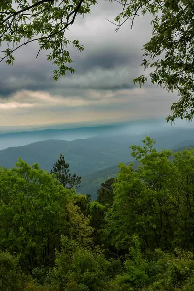 Filtrelenmiş ışık Arkansas manzaralı bir yol boyunca ağır bir gökyüzünde, sisle kaplı dağ sırtlarını ve kalın bir orman tepe örtüsünü aydınlatıyor. Bulutlar, gölgeler ve taze bahar renkleriyle kaplanmış dramatik bir manzara..