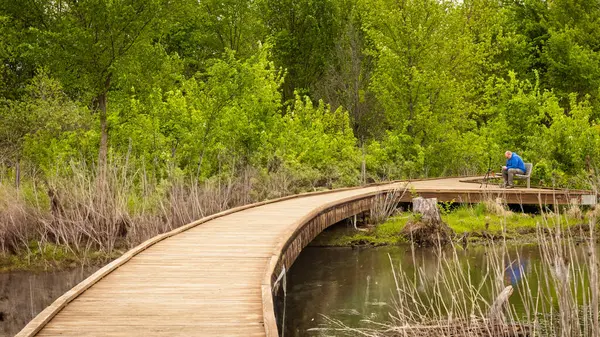 Bir adam, yemyeşil sulak arazi yeşillikleriyle çevrili eğimli bir tahta kaldırımın ucunda sessizce oturur. İlkbaharın başlarında yakalanan sahne yalnızlığı, farkındalığı ve doğayla barışçıl bir bağı yansıtıyor..