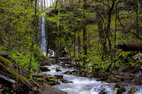 Güçlü bir dağ deresi Arkansas 'ın gizli şelalesinin altındaki yosunlu kayalıklarda bir bahar ormanının yemyeşil sularıyla çalkalanır. Şelalenin enerjisini ve vahşi arazide akan akışı vurgulamak için dikey bir formatta yakalanır..