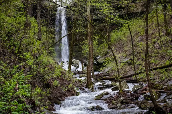 İlkbaharda beslenen bir şelale Arkansas ormanından akar, taze yapraklar, yosun kaplı kayalar ve çıplak ağaç dallarıyla çerçevelenir. Sahne, suyun doğal arazide bir yol açarken evcilleştirilmemiş hareketini yakalar..