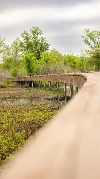 Ahşap bir tahta kaldırım, bereketli sulak alanlarda, bulutlu bir gökyüzünün altında canlı bahar tonlarında yakalanır. Perspektif, doğada barışçıl bir yenilenme ve yansıma sahnesi yaratarak, gözü ileriye çeker..