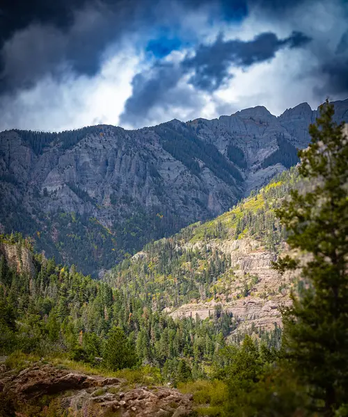 Güneş ışığı çarpıcı fırtına bulutlarını delip geçiyor Colorado 'daki kayalık, ormanlı bir dağ sırtı aydınlatmak için. Işığın ve gölgenin ağaçlar ve kayalıklar arasındaki etkileşimi kompozisyona dinamik derinlik katar..