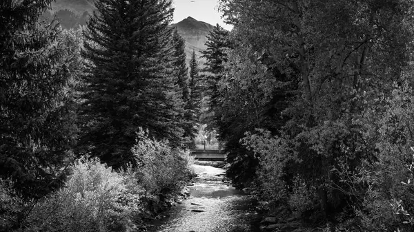 Telluride, Colorado 'daki sık yeşillik ormanlarından geçen bir dağ deresinin siyah beyaz fotoğrafı. Kırsal bir köprü uzaktaki suyu gererken, yüksek bir tepe ağaçların üzerinde beliriyor, zamansız bir görünüm yaratıyor..