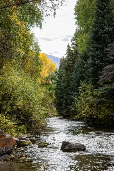 Colorado 'nun Telluride dağlarındaki sık bir orman ve altın kavak ağaçlarının arasından sakin bir dere esiyor. Düz taşlar yüzeyi kırdı ve güneş ışığını filtreledi. Suya nazikçe yansıdı..