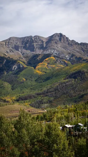 Telluride, Colorado manzarası, sonsuz yeşil orman katmanları ve yüksek bir dağın eteklerini kaplayan altın kavak manzarası. Küçük bir ev ve inşaat araçları kümesi aşağıda sessizce durur..