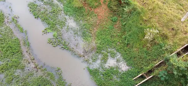 Güzel bir hava görüntüsü kıvrımlı yeşil bitki örtüsüyle çevrili bir derenin dinginliğini yakalıyor. Sudaki gölgeler ve yansımalar biraz sükunet katıyor..