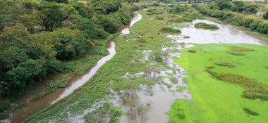 Etrafı yemyeşil bitkilerle çevrili dolambaçlı bir nehrin havadan görünüşü. Görüntü, su ve yeşil bitkiler arasındaki uyumu yakalar, sakin ve sakin bir doğal manzara yaratır..