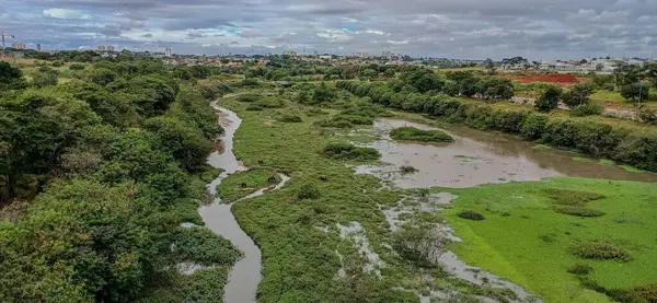 Bereketli bitki örtüsü ve durgun su bölgeleriyle çevrili dolambaçlı bir nehir boyunca doğal bir manzara. Gökyüzü bulutlu, grinin yansıtan gölgeleri.