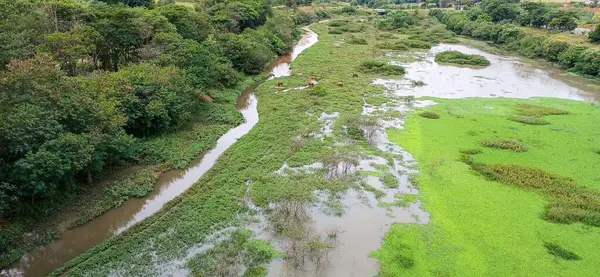 Etrafı yemyeşil bitkilerle çevrili dolambaçlı bir nehrin havadan görünüşü. Görüntü, su ve yeşil bitkiler arasındaki uyumu yakalar, sakin ve sakin bir doğal manzara yaratır..