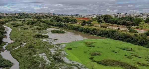 Parktaki nehrin güzel manzarası