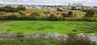 Panoramik bir manzara ön planda yemyeşil bir lagünün güzelliğini yansıtırken, arka planda binalar ve evler yer alıyor. Bulutlu gökyüzü dramatik bir dokunuş ekler, sakin ve sakin bir atmosferi yansıtır.