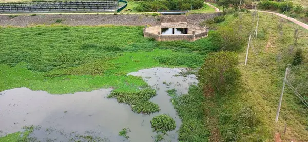 Güzel bir hava görüntüsü, su deposu olan büyük yeşil bir tarla gösteriyor. Bölge, su bitkileri ve ağaçlar da dahil olmak üzere yemyeşil bitki örtüsüyle çevrilidir. Çeşitli tonlardaki su yansımaları, doğanın güzelliğini vurgulayan sakin bir atmosfer yaratır.