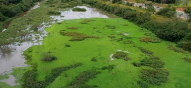 Bereketli bitki örtüsüyle çevrili uçsuz bucaksız yeşil bir gölün havadan görünüşü, suyun doğal ışığı yansıtması. Huzurlu ve hareketli sahne, doğanın ahengini gösteren bir sükunet hissi uyandırıyor..