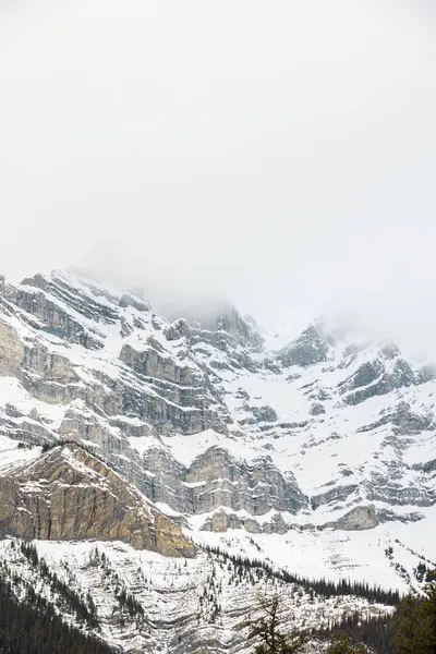 Kar ve sisle kaplı dik dağ sıraları görkemli bir kış görünüşü ve hissi yaratıyor.