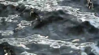 Harekete Geçmiş Suyun Soyut Dalgalanmaları