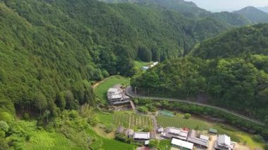 Dağ 'ın Manzarası Büçi Sasaba 'da Yeşil Çay Tarlaları olan Fuji, Shizuoka Japon Hava Sahası