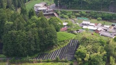 Dağ 'ın Manzarası Büçi Sasaba 'da Yeşil Çay Tarlaları olan Fuji, Shizuoka Japon Hava Sahası