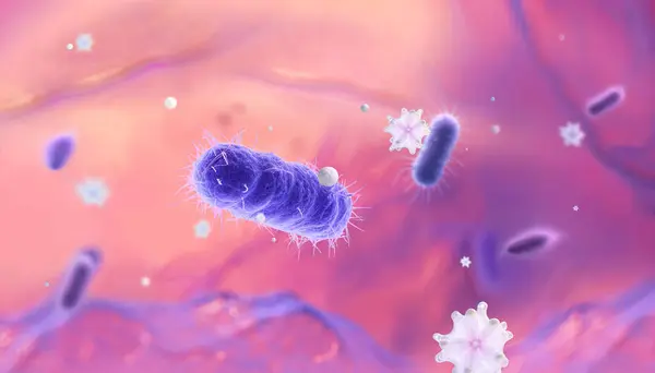 3 boyutlu tıbbi çizimler çubuk şeklindeki mor bakterilerin pembe bir biyolojik sıvıda beyaz kan hücreleriyle etkileşime girdiğini gösteriyor. Biyoteknoloji, bağışıklık bilimi veya enfeksiyonla ilgili görseller için ideal gerçekçi, yumuşak hazırlanmış mikroskobik bir sahne.