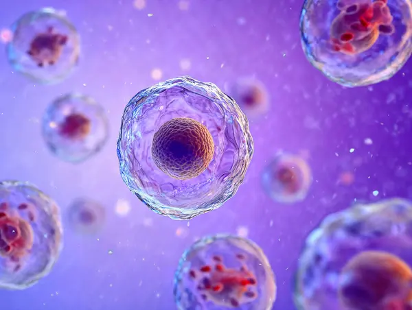 Yumuşak bir şekilde parlayan mikro akışkan bir ortamda, dokusu zarlı ve merkezi çekirdekli menekşe kök hücrelerinin son derece detaylı üç boyutlu tıbbi çizimi. Gerçekçi kırılma ve sinematik ışık derinliği bu resmi biyoteknoloji tasarımı için ideal kılar..