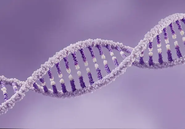 Yumuşak bir lavanta arka planına yerleştirilmiş zarif DNA sarmal yapısının minimum çizimi pürüzsüz eğriler ve şeffaf segmentlerle genetik biyoteknoloji eğitimi için uygun temiz, modern bir biyolojik atmosfer yaratıyor.