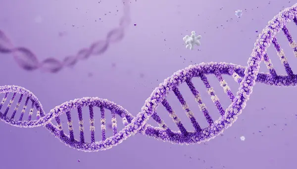 Hafif yüzen moleküllerle birlikte yumuşak bir lavanta boşluğunda asılı bir DNA ipliğinin yakın görüntüsü. Organik tonlar ve fütüristik biyomedikal estetik içeren minimal temiz bir düzen.