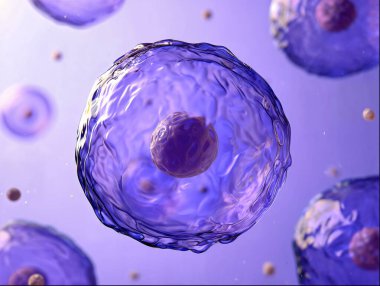 Bilim eğitimi, biyoteknoloji görselleri, tıbbi araştırma kavramları veya temiz bir tarzda modern biyoloji temalı geçmişleri olan yumuşak mor bir ortamda yüzen şeffaf bir biyolojik hücrenin ayrıntılı görünümü