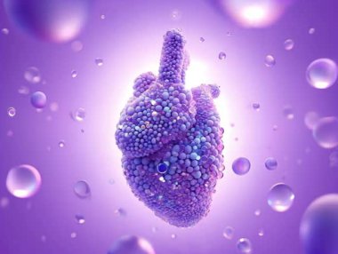Yumuşak bir moleküler uzayda yavaşça dönen pürüzsüz mor baloncuklardan oluşan dönen bir anatomik kalbin üç boyutlu animasyonu. Sağlık, yenilik, mikrobiyoloji ve gelecekteki anatomiyle ilgili tıbbi, biyoteknoloji veya kavramsal projeler için idealdir.