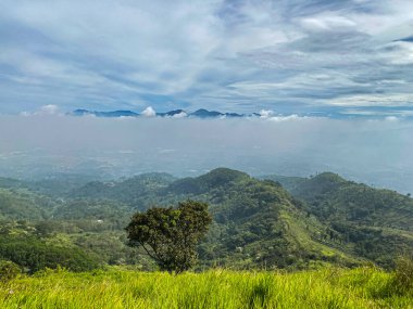Bu resim bir alan gösterir.
