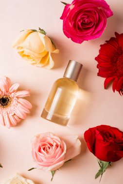 Canlı güllerle çevrili cam parfüm şişesi ve pastel pembe arka planda çiçekler, üst manzara.