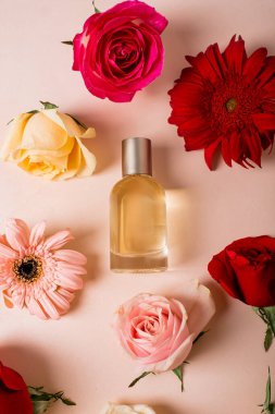 Yumuşak pembe arka planda renkli çiçekli parfüm şişesi