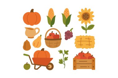 Balkabağı, mısır kabağı, kabak, kavanoz, sepet, ayçiçeği, üzüm, saman balyası, el arabası, tahta sandık, düz renkli ikonlar seti. Sonbahar karikatür tasarım paketlerini hasat edin. Vektör illüstrasyonu.