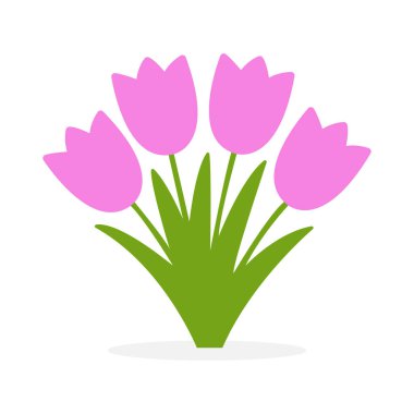 Canlı yeşil yapraklı dört pembe lale, temiz beyaz arka planda sergilenen sade, stilize bir bukete yerleştiriliyor..