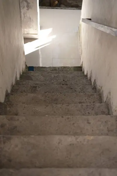 Yukarıdan bakıldığında, aşınmış ve kirli beton bir merdiveni aşağı doğru çeker, güneş ışığı alttaki fayanslı zeminde yaprak gölgeleri bırakır.