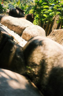 Yerden bakıldığında çeşitli boyutlarda, desenli taşlar ve çakıl taşlarıyla dolu, yemyeşil bir patika ya da bahçe yatağı görülür.