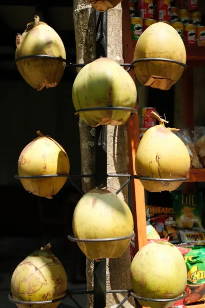 Tegenungan Şelalesi, Bali - 27 Nisan 2025: Yeşil ve sarı tonlarda taze hindistan cevizlerinin canlı bir görüntüsü, dikey ayakta duran metal tutucularda düzgün bir şekilde düzenlenmiştir..