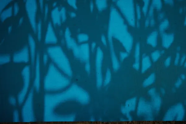 Koyu, karmaşık yaprak ve dallardan oluşan siluetler, desenli, muhtemelen kumaşlı ya da duvarlı, değişen mavi tonların yüzeyi boyunca gölge gibi dökülür.