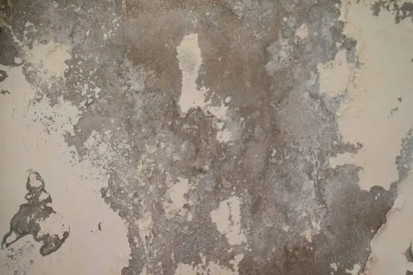 Bu görüntü, eski ve sıkıntılı bir duvarı, kabuk soyulmuş boya ya da alçıyla yakın plan çekerek kaba, koyu gri beton ya da altta yatan maddelerin parçalarını ortaya çıkararak dokulu bir arka plan oluşturur.